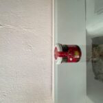 Conserva Paté de Tomate Seco